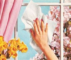 Spring Cleaning... Top Tips 8