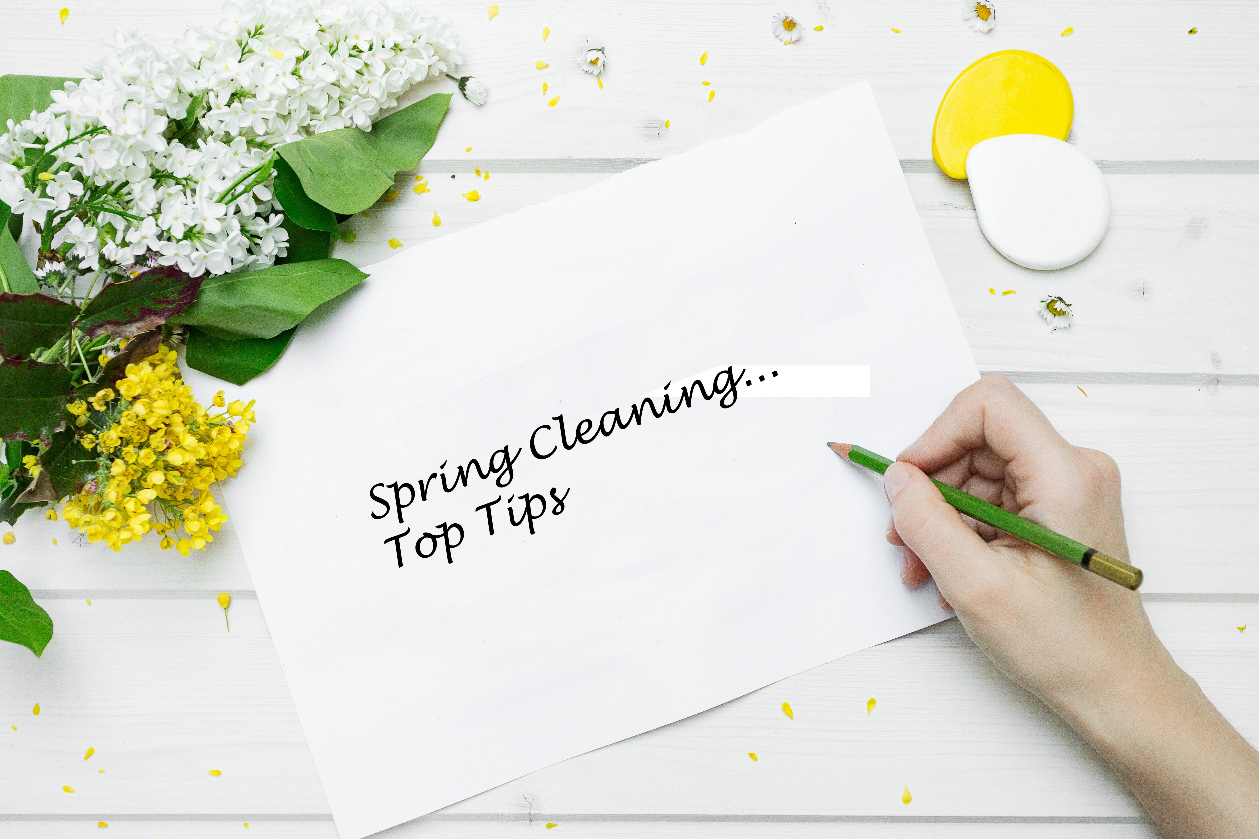 Spring Cleaning... Top Tips