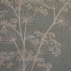 Cow Parsley - Duckegg 1