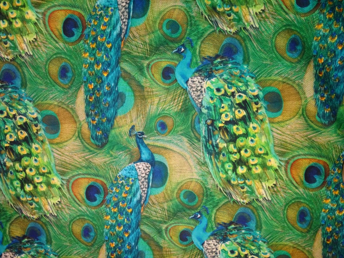 Opal Peacock 21