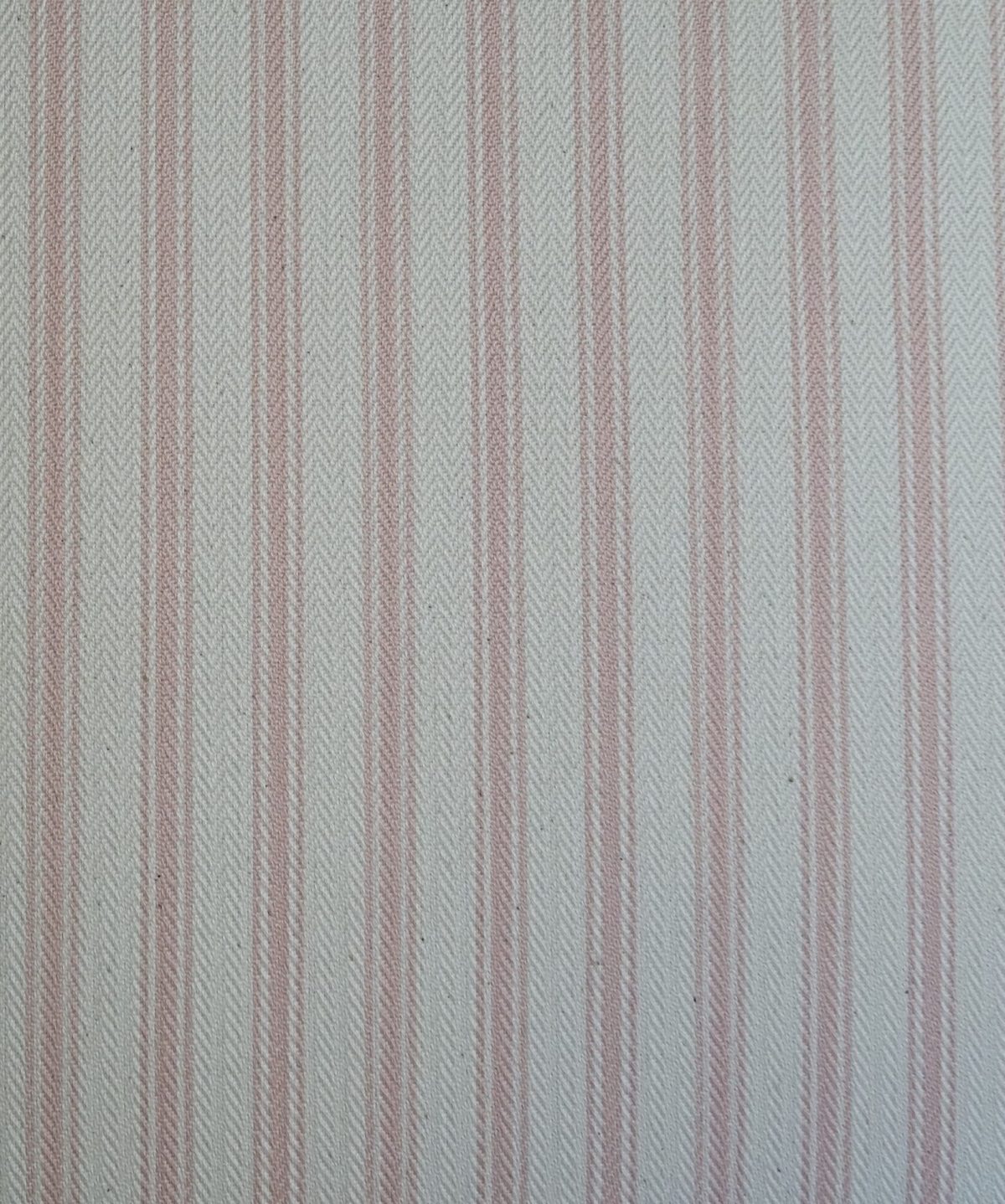 Ticking Stripe - Pink 1