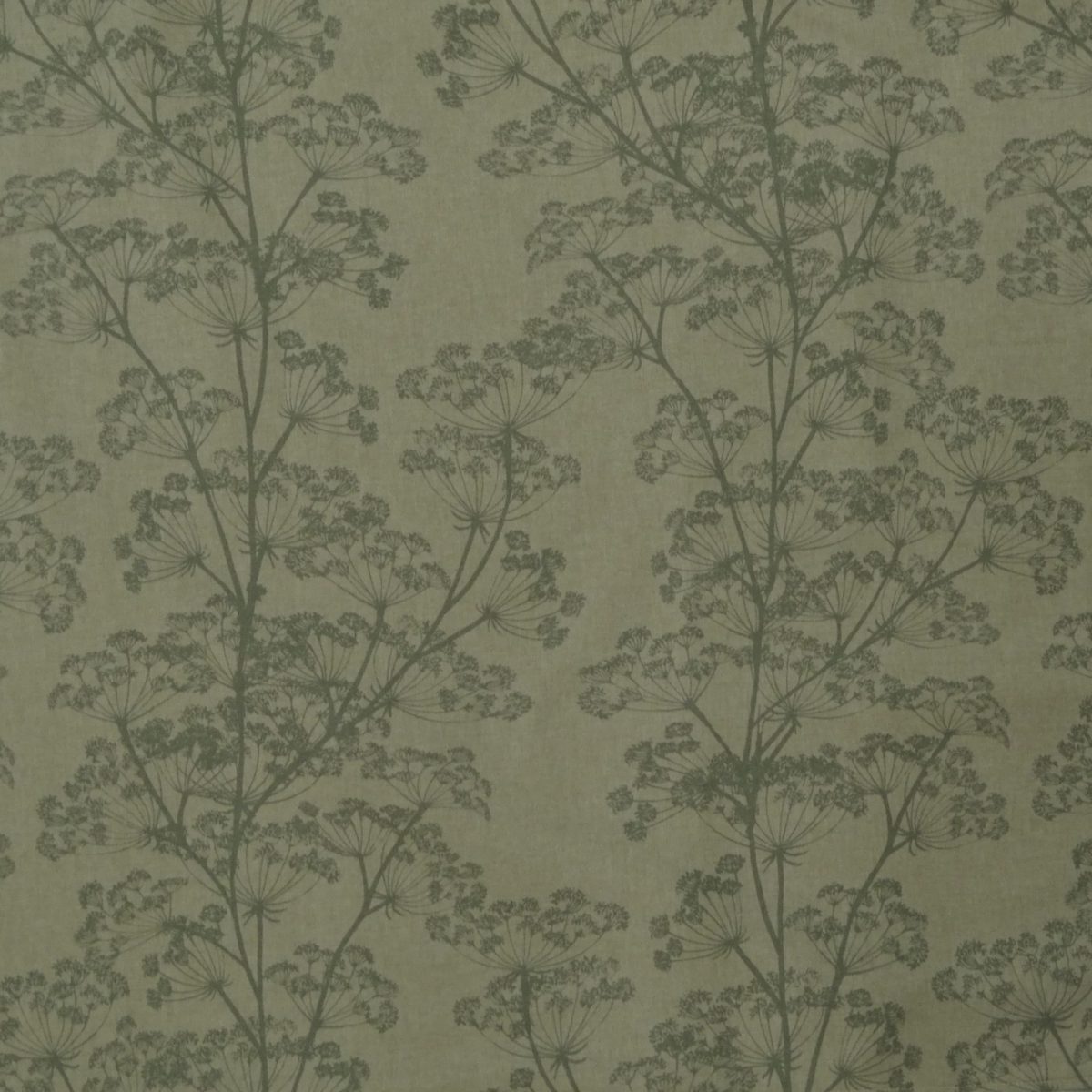 Cow Parsley - Duckegg Reverse LL 1