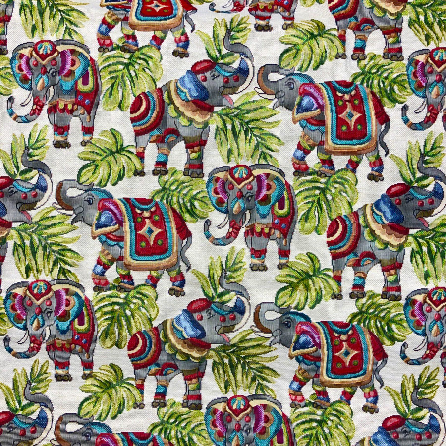 Indian Elephant
