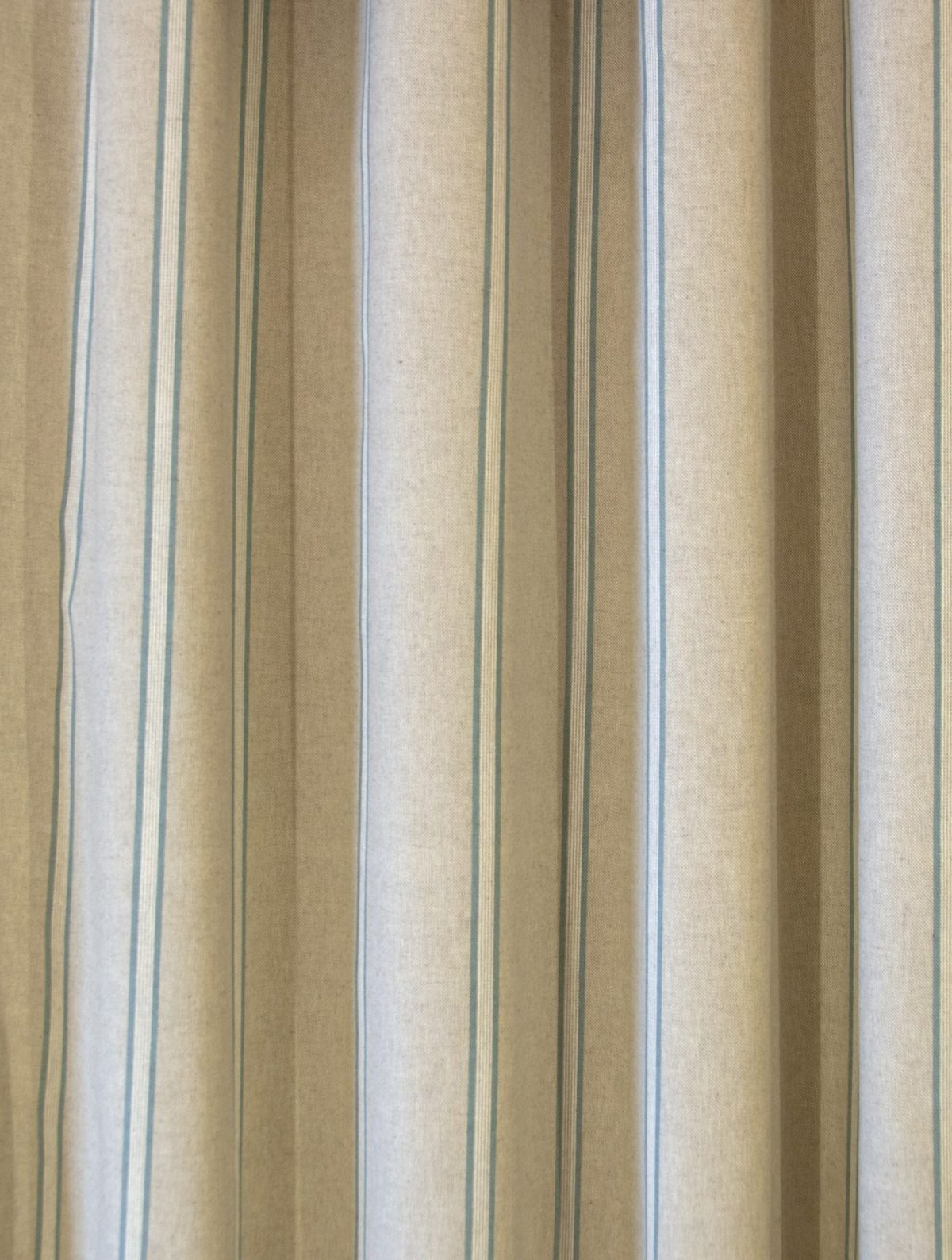 Renaissance Stripe - Blue 1