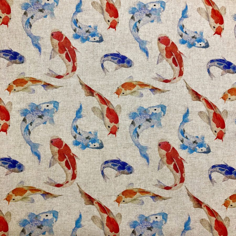 Koi