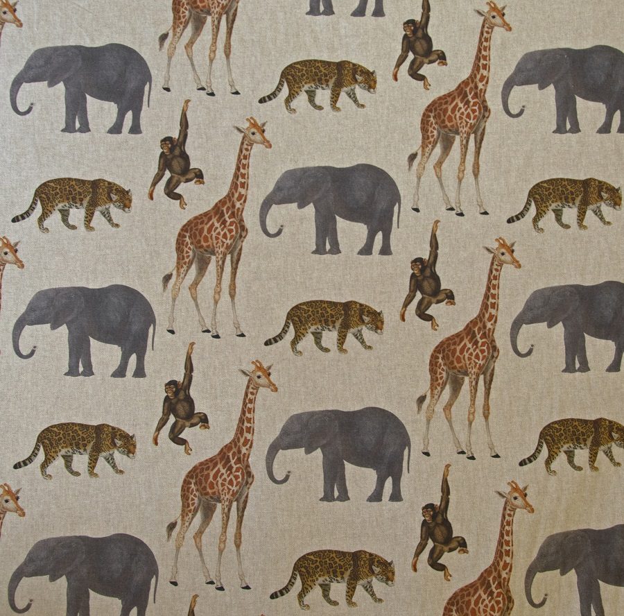 Safari