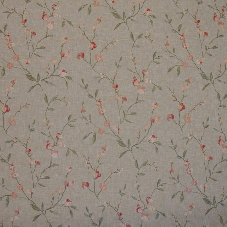 Cecelia - Blossom