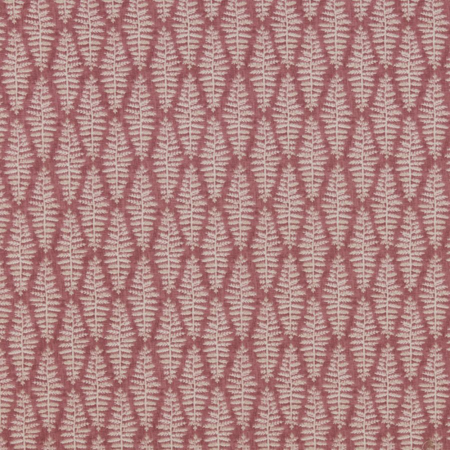 Fernia - Rosa