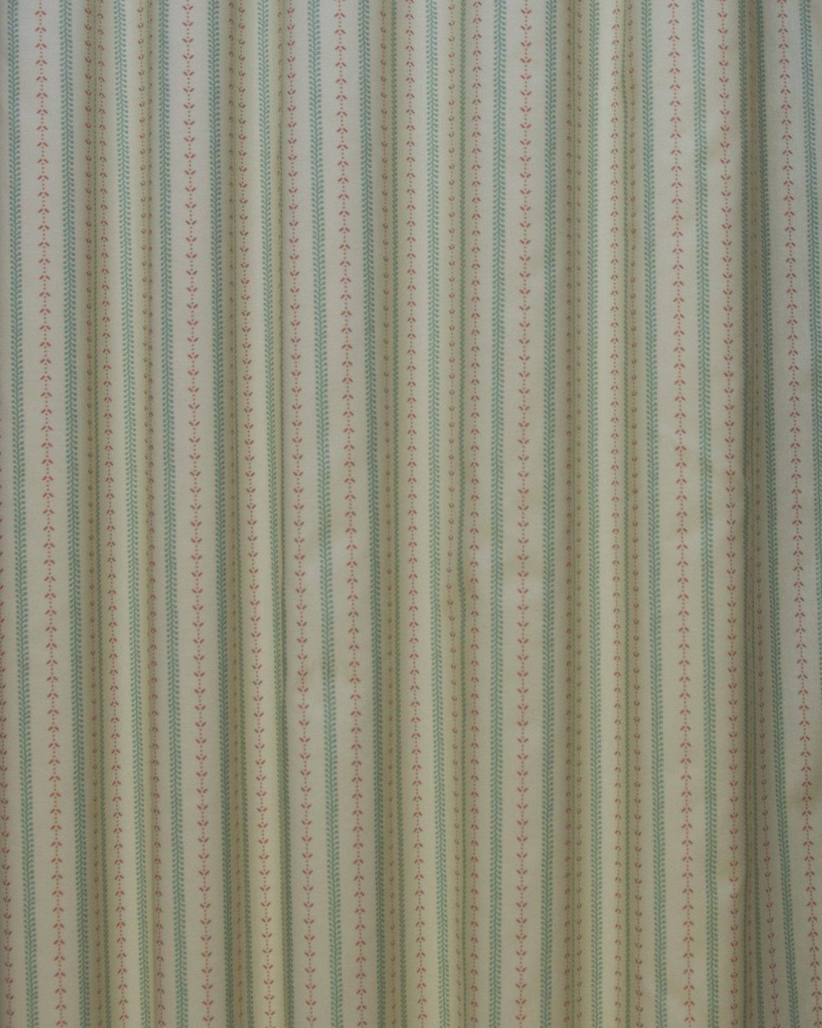 Selby - Coral 2